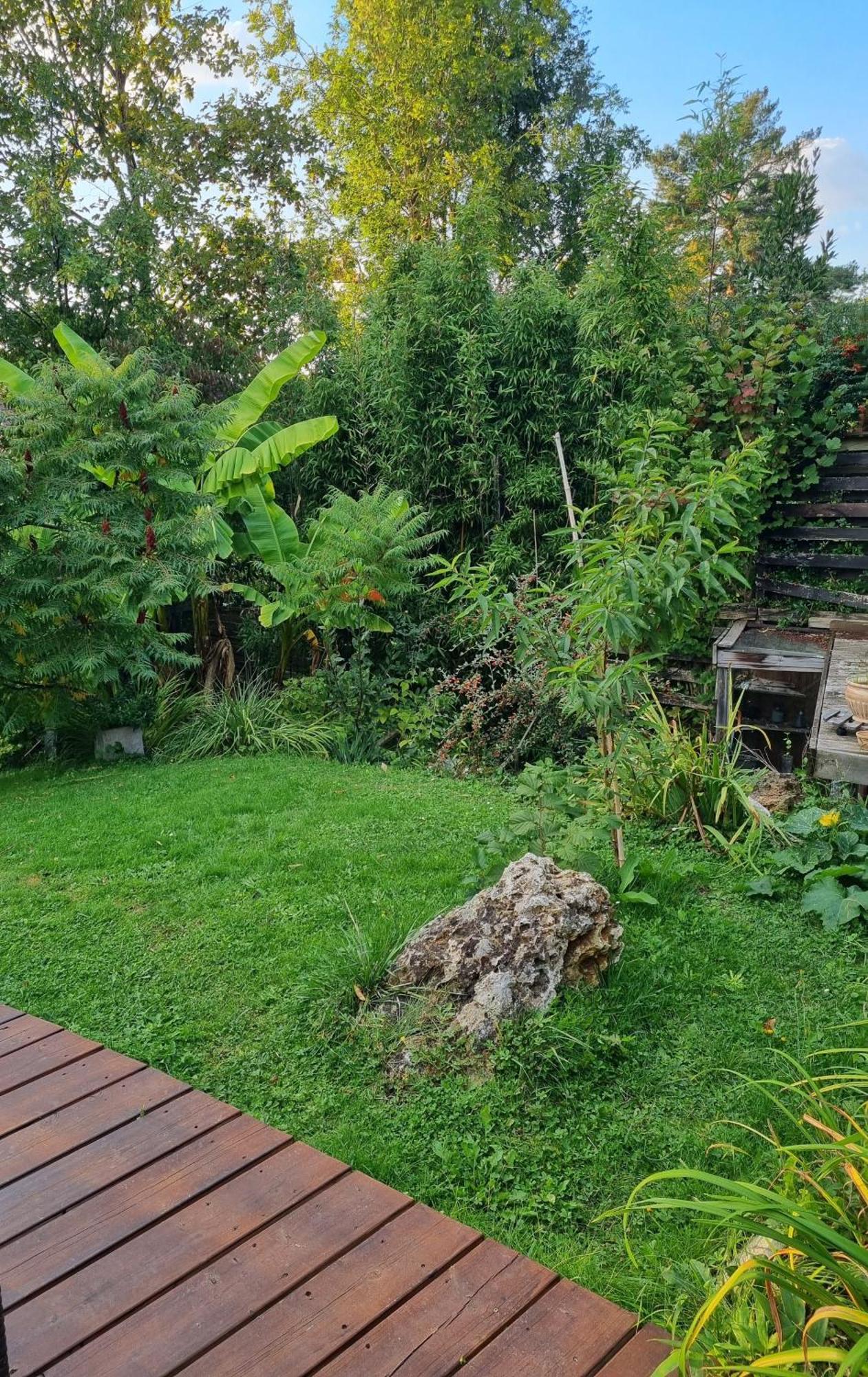 Belle Maison D'Art Verdoyante & Jardin Saint-Rémy-lès-Chevreuse Exterior foto